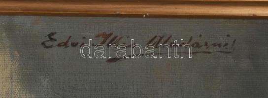 Edvi Illés Aladárné, Karády Etel (1877-1963): Varró lányka népviseletben. Olaj, vászon, jelzett. Jav...