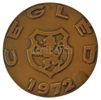 Képíró Zoltán (1944-1981) 1972. "Dózsa György / Cegléd 1972" kétoldalas bronz emlékérem (6...