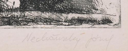 Nechánszky József (1936-): Balatoni táj. Rézkarc, papír, jelzett, paszpartuban, 16×29,5 cm