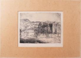 Szemerédy Miklós (-): Zugligeti táj. Rézkarc, papír, jelzett, paszpartuban, 15x19,5 cm