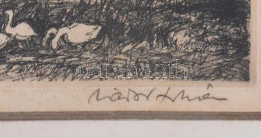 Zádor István (1882-1963): Öreg tanya, 1931. Rézkarc, papír, jelzett, kissé foltos, paszpartuban, 18,...