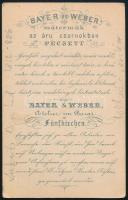 cca 1865 Lukits Antal (1812-1886) földmérő, keményhátú fotó Bayer&amp;Weber pécsi műterméből, 10...