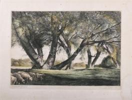 Kaveczky Zoltán (1897-1965): Tiszaparti fűzfák. Színezett rézkarc, papír, jelzett. Lap széle foltos. 29×39 cm