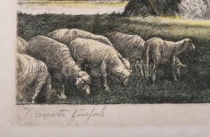 Kaveczky Zoltán (1897-1965): Tiszaparti fűzfák. Színezett rézkarc, papír, jelzett. Lap széle foltos....