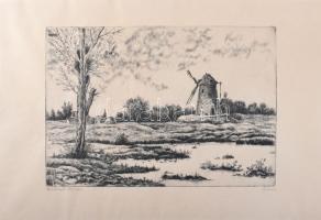 Gácsi Mihály (1926-1987): Malomtó. Rézkarc, papír, jelzett, számozott (100/100), 29×39 cm