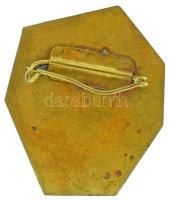 1971. "Villamosipari Találkozó - DÉMÁSZ Békéscsaba Szanazug" zománcozott fém jelvény (38x4...