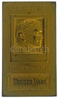 Románia 1925. "FSSR (Romániai Sportegyesületek Szövetsége) - Ludus Pro Patria" aranyozott bronz díjplakett, az előlapon Teszler János (1904-1947) nevére gravírozva, a hátoldalán "1925 Campion National" gravírozással. Teszler János hatszoros román válogatott támadó, pályafutása a Dumbrăveni csapatában indult, 1924-ben pedig onnan igazolt a Chinezul Timi?oara (1918-ig: Temesvári Kinizsi) gárdájához. A temesváriak a korszak sikercsapata voltak, messze felülmúlták a Trianon előtti román bajnokságban szereplő csapatok teljesítményét. Ezt jól mutatja, hogy első szezonjukban, 1920-1921-ben rögtön bajnokok lettek, majd zsinórban még öt alkalommal nyerték meg a bajnokságot egészen 1927-ig, jórészt romániai magyar játékosokkal (akkoriban a román válogatottban is a romániai magyar játékosok voltak többségben). Teszler Jánossal a soraiban háromszor lett aranyérmes a temesvári csapat (1924-1925, 1925-1926, 1926-1927). 1925. augusztus 9-én játszották a bajnokság döntőjét Aradon, ahol a Chinezul 5-1-re lemosta a pályáról az UCAS Petro?ani együttesét. Teszler ebben az idényben érdemelte ki ezt a díjplakettet. A támadó pályafutása furcsa véget ért Temesvárott, egy késeléses ügy után letartóztatták, majd védői kérésére szabadlábon védekezhetett. A tárgyalás napján azonban kiderült, hogy közben Magyarországra, az Újpest csapatához igazolt. Egy évvel később Pécsre szerződött, előbb a Pécs-Baranya FC, majd a Pécsi AC csapatához. (46x81mm) T:XF Romania 1925. "FSSR (Union of Romanian Sports Clubs) - Ludus Pro Patria" gilded bronze award plaque, engraved with the name of János Teszler (1904-1947) on the front, and "1925 Campion National" on the back. János Teszler is a six-time Romanian national team striker, he's career began with the Dumbrăveni, and in 1924 he transferred from there to Chinezul Timişoara (until 1918: Temesvári Kinizsi). The Chinezul was a successful team of the era, far surpassing the performance of the teams in the pre-Trianon Romanian championship. This is clearly demonstrated by the fact that in their first season, 1920-1921, they won the league, and then won it five more times in a row until 1927, mostly with Hungarian nationality players from Romania (at that time, Hungarian players were also in the majority in the Romanian national team). With János Teszler in the team, the Chinezul won gold medals three times (1924-1925, 1925-1926, 1926-1927). On August 9th, 1925, the championship final was played in Arad, where Chinezul swept UCAS Petro?ani off the field 5-1. Teszler earned this award plaque in this season. The attacker's career came to a strange end in Timisoara, he was arrested after a stabbing case, and then, at the request of his defenders, he was allowed to defend himself on bail. However, on the day of the trial, it turned out that he had already transferred to Hungary, to the Újpest team. A year later, he signed for Pécs, first for Pécs-Baranya FC, and then for Pécsi AC. (46x81mm) T:XF