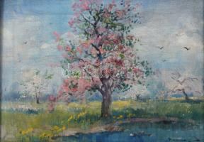 Kasznár Ring Jenő (1875-1945): Tavaszi virágzás. Olaj, vászon, jelzett, javított. Dekoratív, kissé sérült fakeretben, 25×35 cm