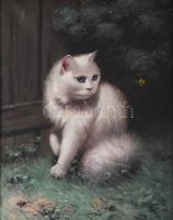 Boleradszky Benő (1885-1957): Cica (macska). Olaj, vászon, jelezve jobbra fent. Apró sérülésekkel. Dekoratív, kissé sérült fakeretben. 61x80 cm