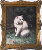 Boleradszky Benő (1885-1957): Cica (macska). Olaj, vászon, jelezve jobbra fent. Apró sérülésekkel. D...