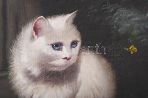 Boleradszky Benő (1885-1957): Cica (macska). Olaj, vászon, jelezve jobbra fent. Apró sérülésekkel. D...