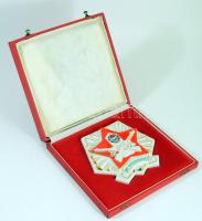 Hollóházi porcelán BM Határőrség plakett. Kézzel festett, jelzett, hibátlan, 16x16 cm, dobozában.