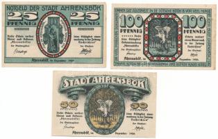 Német Birodalom / Weimari Köztársaság / Ahrensbök 1920. 25pf + 50pf + 100pf teljes sor T:AU folt German Empire / Weimar Republic / Ahrensbök 1920. 25 Pfennig + 50 Pfennig + 100 Pfennig full serie C:AU spotted