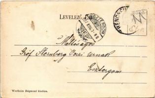 1907 Trencsénteplic, Trencianske Teplice; Forrás udvar. Wertheim Zsigmond kiadása / Quellenhof / spa...