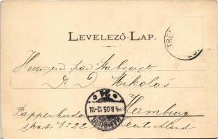 1905 Trencsénteplic, Trencianske Teplice; Viktória nyaraló. Wertheim Zsigmond kiadása / spa villa (E...