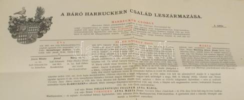 1895 A báró Harruckern család leszármazása. Nagy méretű tábla, hajtásnál szakadással 42x51 cm