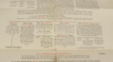 1895 A báró Harruckern család leszármazása. Nagy méretű tábla, hajtásnál szakadással 42x51 cm