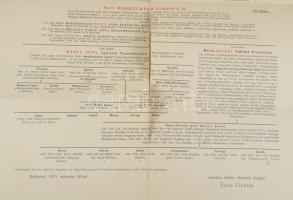 1895 A báró Harruckern család leszármazása. Nagy méretű tábla, hajtásnál szakadással 42x51 cm