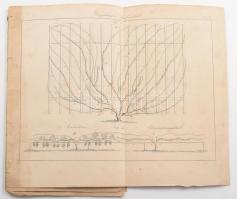 ca 1840 Szőlészet: Szőlő metszésmódokat és termesztési módokat bemutató 13 db litográfia. 24x20 cm ig