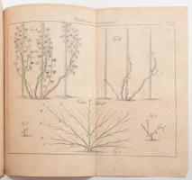ca 1840 Szőlészet: Szőlő metszésmódokat és termesztési módokat bemutató 13 db litográfia. 24x20 cm i...