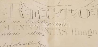 1892 Ludig Gyula jogi diplomája. báró Eötvös Loránd (1848-1919) fizikus, feltaláló, rektor autográf ...