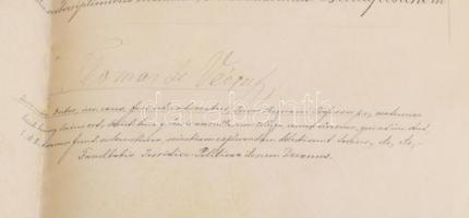 1892 Ludig Gyula jogi diplomája. báró Eötvös Loránd (1848-1919) fizikus, feltaláló, rektor autográf ...