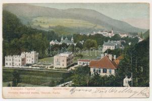 1905 Trencsénteplic, Trencianske Teplice; Nyaralók völgye. Wertheim Zsigmond kiadása / Villenthal / villas (r)