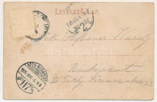 1905 Trencsénteplic, Trencianske Teplice; Nyaralók völgye. Wertheim Zsigmond kiadása / Villenthal / ...