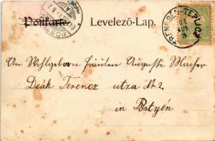 1904 Trencsénteplic, Trencianske Teplice; látkép. Hermann Seibt kiadása / general view (fl)