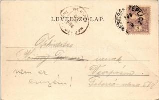 1900 Trencsénteplic, Trencianske Teplice; Szina utca. Edgar Schmidt kiadása / Sinagasse / street vie...