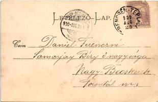 1900 Trencsénteplic, Trencianske Teplice; Alberti villa. Gansel Lipót kiadása / villa (EK)