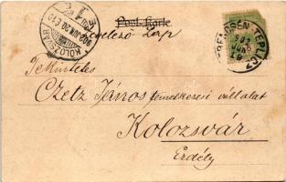 1902 Trencsénteplic, Trencianske Teplice; fürdő, villák. Gansel Lipót kiadása, szecessziós-lóherés l...