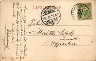 1906 Trencsénteplic, Trencianske Teplice; Park részlet / park (EK)