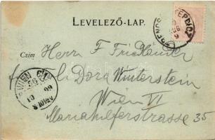 1899 Trencsénteplic, Trencianske Teplice; Villa-Seldern / villák. Gansel Lipót kiadása / villas (fl)