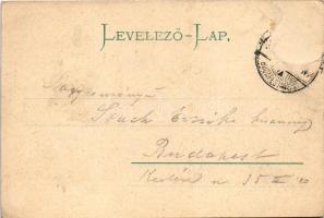 1904 Trencsén, Trencín; tér, templom, üzletek. Gansel Lipót kiadása / square, church, shops (Rb)