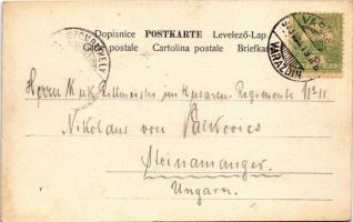 1903 Varasd, Warasdin, Varazdin; Banksi-Trg / Banus-Platz / square (ázott / wet corner)