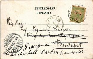 1903 Varasdfürdő, Warasdin-Töplitz, Varazdinske Toplice; látkép, fürdő / general view, spa (EB)