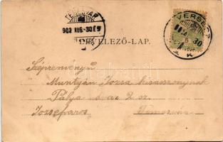1902 Versec, Werschetz, Vrsac; Városkert utca. Kehrer Lajos kiadása / Stadtgarten-Gasse / street vie...