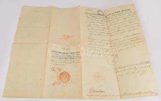 1829 Buda rendkívüli támogatás 400 forint összegben Ungár Mihály királyi fogalmazónak. Skultéty Fere...