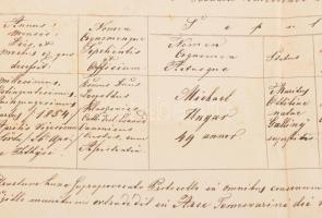 Temesvár 1854. születési anyakönyvi kivonat szignettával