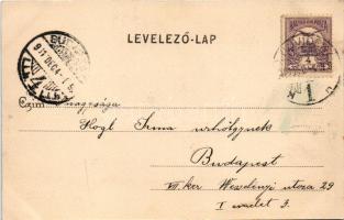 1901 Újvidék, Novi Sad; Park részlet, csónakázók. Herger Ágoston kiadása, szecessziós keret / park, ...