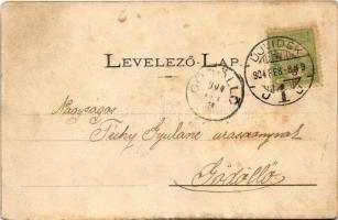 1904 Újvidék, Novi Sad; Futtaki utca, városháza, Herger Ágoston üzlete, Újvidéki Takarékpénztár. J. ...