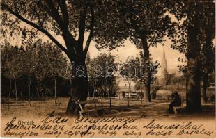 1905 Újvidék, Novi Sad; park / park (fl)