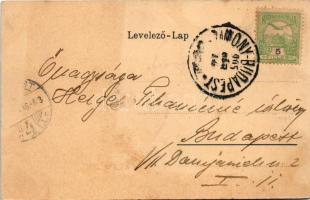 1905 Újvidék, Novi Sad; park / park (fl)