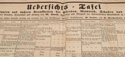 1840 [Állatorvosi táblázat] Állatbetegségek, és diagnosztizálásuknak módjai a különböző állapotban l...