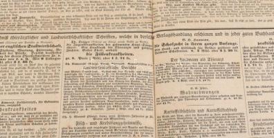 1840 [Állatorvosi táblázat] Állatbetegségek, és diagnosztizálásuknak módjai a különböző állapotban l...