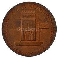 Csehszlovákia DN "J.A. Komensky 1592-1670 / Muzeum J.A. Komenskeho Uhersky Brod" kétoldala...