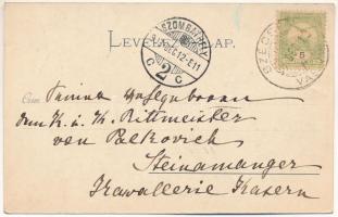 1903 Tanakajd, Tana (Vas); Ambrózy kastély. Rajta Ambrózy Lajosné Erdődy Ágota grófnő (1839-1914) le...