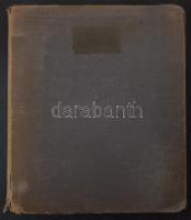 Néhány száz modern magyar bélyeg A4-es gyűrűs berakó 9 oldalán, közte nagyon sok színeltérés, nyomás...