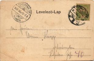 1903 Temesvár, Timisoara; Gyárváros, Liget út, villamos, férfi kerékpárral. Polatsek-féle könyvkeres...